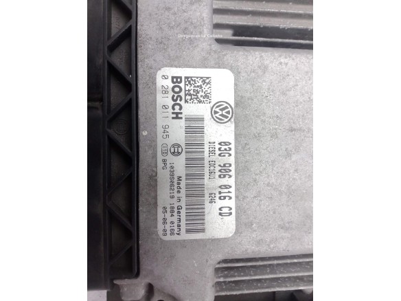 03G906016CD CENTRALITA MOTOR VW TOURAN (1T1, 1T2) |Desguaces La Cabaña