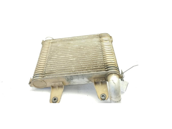 INTERCOOLER KIA CARNIVAL II (GQ) |Desguaces La Cabaña