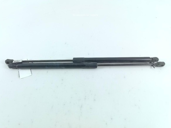 51242990136 AMORTIGUADOR PORTON / TAPA MALETA BMW X1 (E84) |Desguaces La Cabaña