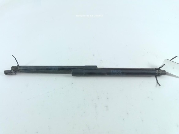51242990136 AMORTIGUADOR PORTON / TAPA MALETA BMW X1 (E84) |Desguaces La Cabaña