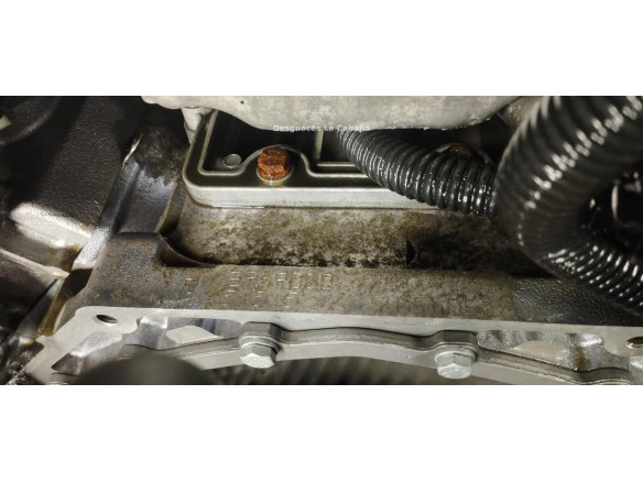 N62B36A MOTOR BMW 7 (E65, E66, E67) |Desguaces La Cabaña