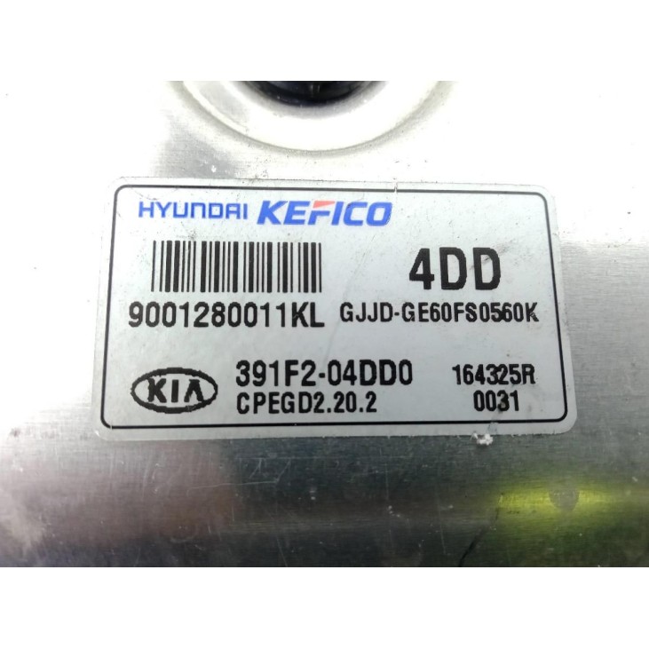 391F204DD0 CENTRALITA MOTOR KIA PRO CEE´D (JD) |Desguaces La Cabaña