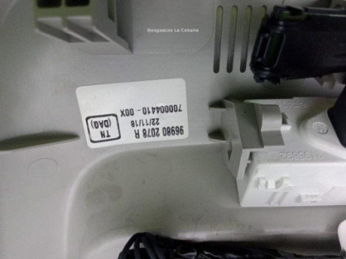 969802078R PLAFON DEL RENAULT KADJAR (HA_, HL_) |Desguaces La Cabaña