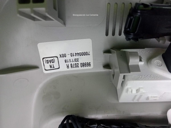 969802078R PLAFON DEL RENAULT KADJAR (HA_, HL_) |Desguaces La Cabaña