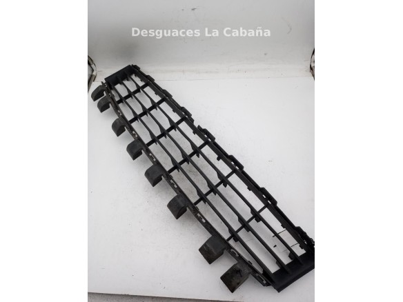 REJILLA PARAGOLPES DEL CENTRAL RENAULT MEGANE II (BM0/1_, CM0/1_) |Desguaces La Cabaña