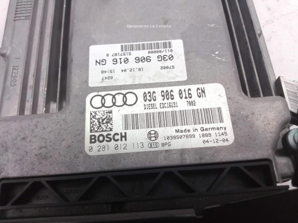 03G906016GN CENTRALITA MOTOR AUDI A4 (8EC, B7) |Desguaces La Cabaña
