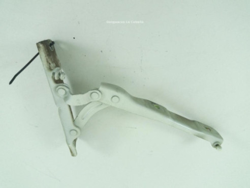 BISAGRA CAPO DERECHA|Desguaces La Cabaña 2