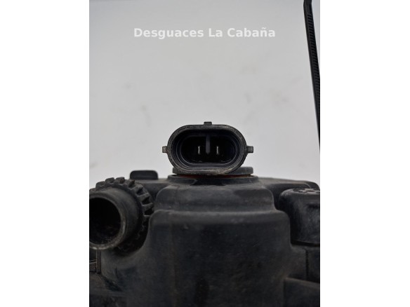 NIEBLA DEL DER RENAULT MEGANE II (BM0/1_, CM0/1_) |Desguaces La Cabaña