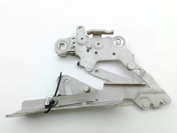 13989610 BISAGRA CAPO IZQ BMW 3 (F30, F80) |Desguaces La Cabaña