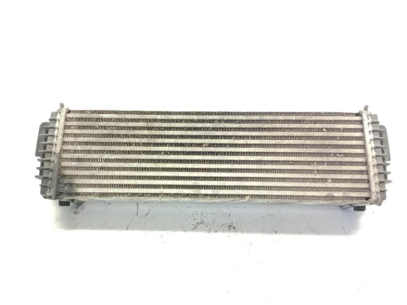 1751780932101 INTERCOOLER BMW X5 (E70) |Desguaces La Cabaña