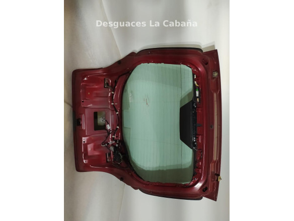 PORTON RENAULT LAGUNA III (BT0/1) |Desguaces La Cabaña
