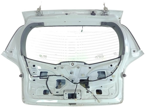 PORTON RENAULT CLIO III (BR0/1, CR0/1) |Desguaces La Cabaña