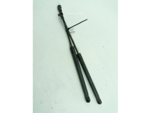 51247060622 AMORTIGUADOR PORTON / TAPA MALETA BMW 1 (E81) |Desguaces La Cabaña