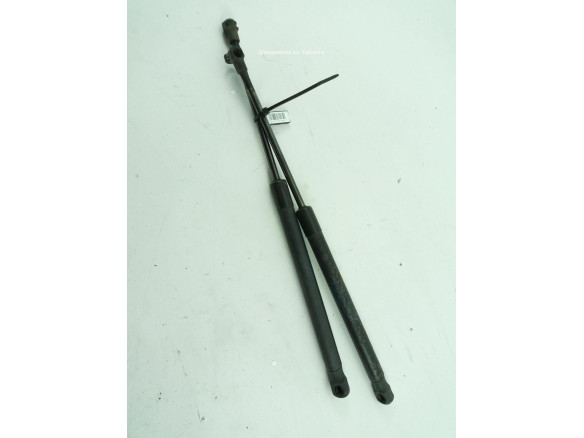 51247060622 AMORTIGUADOR PORTON / TAPA MALETA BMW 1 (E81) |Desguaces La Cabaña