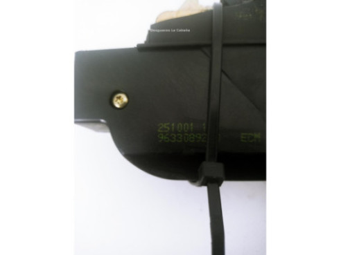 CERRADURA PORTON / TAPA MALETA CITROEN XSARA PICASSO (N68) |Desguaces La Cabaña