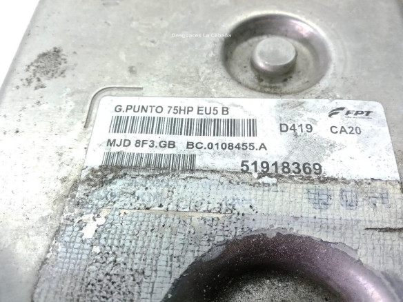 51918369 CENTRALITA MOTOR FIAT PUNTO (199_) |Desguaces La Cabaña