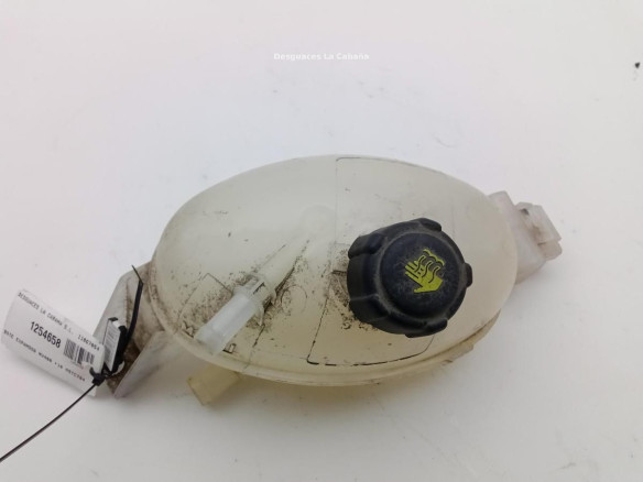 BOTE EXPANSOR NISSAN NV400 Furgón (X62, X62B) |Desguaces La Cabaña