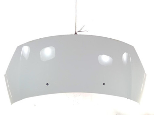 7901R1  CAPO CITROEN DS3|Desguaces La Cabaña