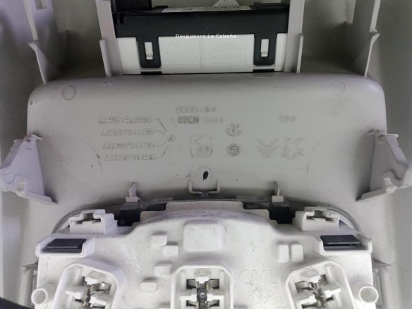 9671645977 PLAFON DEL CITROEN C4 II (B7)|Desguaces La Cabaña