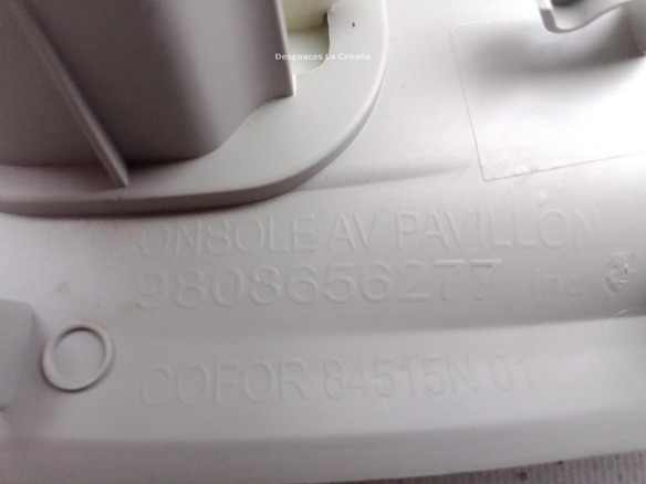 9808656277 PLAFON DEL CITROEN JUMPY Caja/Chasis|Desguaces La Cabaña