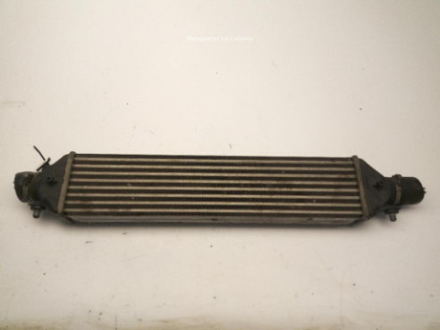 896255500 INTERCOOLER FIAT DOBLO Limusina (263_)|Desguaces La Cabaña