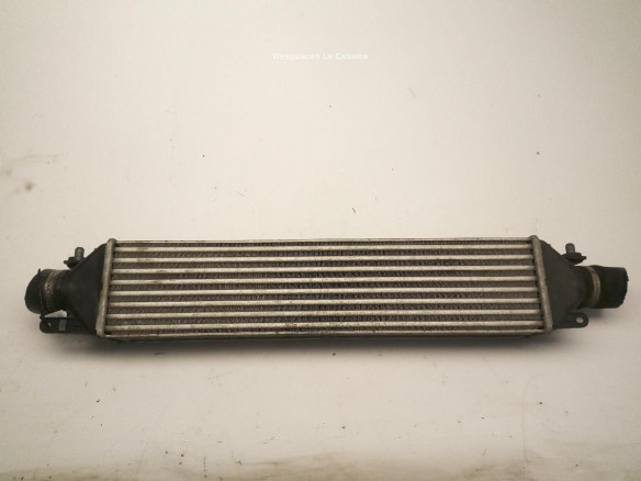 896255500 INTERCOOLER FIAT DOBLO Limusina (263_)|Desguaces La Cabaña