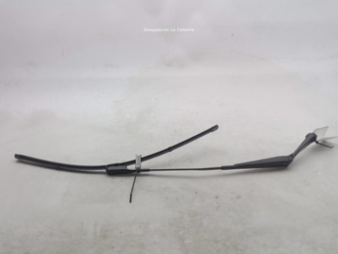 8U1955407A BRAZO LIMPIAPARABRISAS DEL IZQ AUDI Q3 (8UB, 8UG)|Desguaces La Cabaña