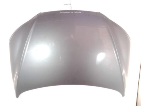 664002B010  CAPO HYUNDAI SANTA FÉ II (CM)|Desguaces La Cabaña