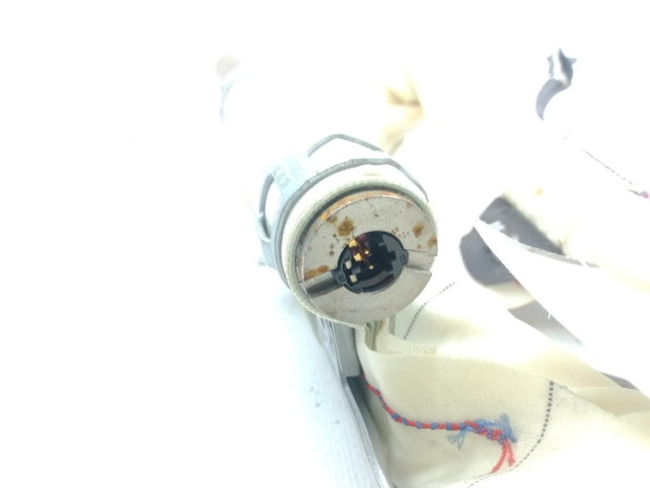 7221046 AIRBAG CORTINA DER BMW 3 (F30, F80)|Desguaces La Cabaña