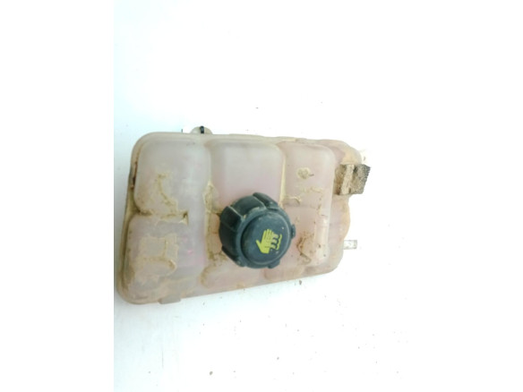 BOTE EXPANSOR RENAULT MEGANE IV (B9A/M_)|Desguaces La Cabaña