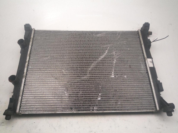 58329 2002112 RADIADOR AGUA RENAULT GRAND SCENIC II (JM0/1_)|Desguaces La Cabaña