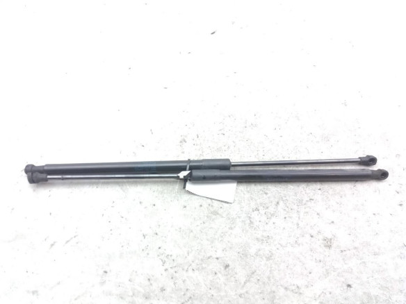 9813913880 AMORTIGUADOR PORTON / TAPA MALETA CITROEN C4 CACTUS|Desguaces La Cabaña