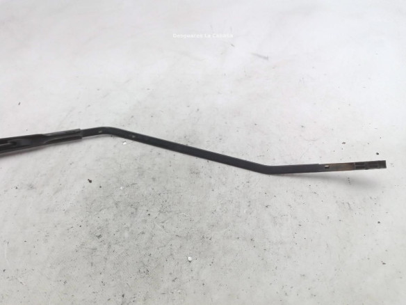 BRAZO LIMPIAPARABRISAS DEL DER RENAULT SCENIC III (JZ0/1_)|Desguaces La Cabaña