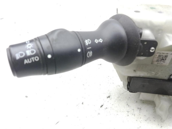 255670019R MANDO COMPLETO RENAULT MEGANE III Fastback (BZ0_)|Desguaces La Cabaña
