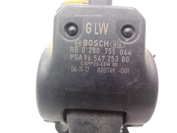 9654725380 POTENCIOMETRO ACELERADOR CITROEN C4 Picasso I Limusina (UD_)|Desguaces La Cabaña