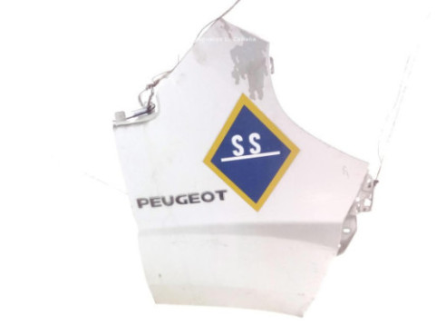 ALETA DEL DER PEUGEOT BOXER Furgón|Desguaces La Cabaña