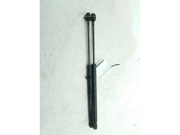 9639853880 AMORTIGUADOR PORTON / TAPA MALETA CITROEN C3 I (FC_)|Desguaces La Cabaña