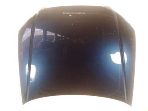 8E0823029D  CAPO AUDI A4 (8EC, B7)|Desguaces La Cabaña