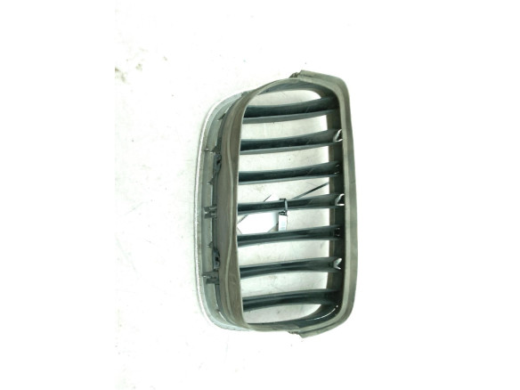 REJILLA RIÑON IZQ BMW X5 (E70)|Desguaces La Cabaña