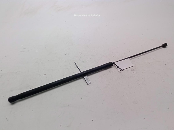 AMORTIGUADOR CAPO VW GOLF V (1K1)|Desguaces La Cabaña