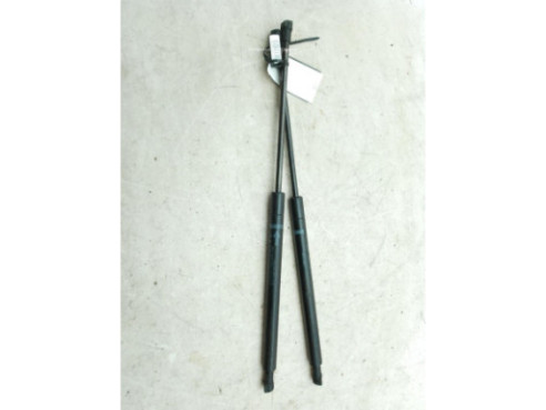 534500W080 AMORTIGUADOR CAPO LEXUS IS II (_E2_)|Desguaces La Cabaña