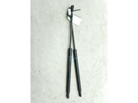 534500W080 AMORTIGUADOR CAPO LEXUS IS II (_E2_)|Desguaces La Cabaña