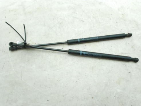 534500W080 AMORTIGUADOR CAPO LEXUS IS II (_E2_)|Desguaces La Cabaña