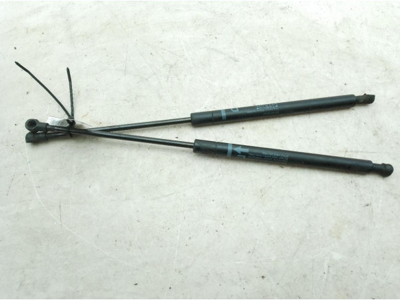 534500W080 AMORTIGUADOR CAPO LEXUS IS II (_E2_)|Desguaces La Cabaña