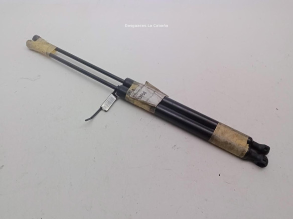 9683733980 AMORTIGUADOR PORTON / TAPA MALETA CITROEN C3 II|Desguaces La Cabaña