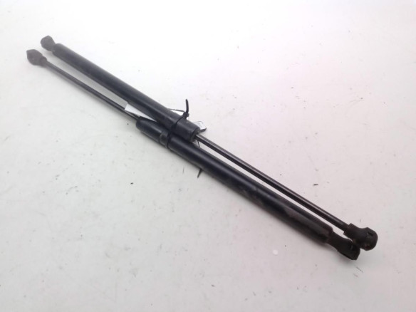 844308661R AMORTIGUADOR PORTON / TAPA MALETA RENAULT CLIO IV (BH_)|Desguaces La Cabaña