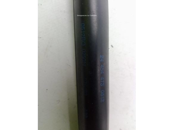 AMORTIGUADOR CAPO OPEL SIGNUM Fastback (Z03)|Desguaces La Cabaña