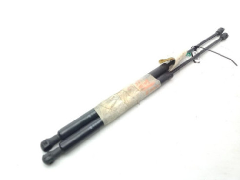 AMORTIGUADOR CAPO CITROEN C5 II (RC_)|Desguaces La Cabaña