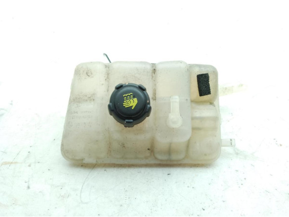 217104048R BOTE EXPANSOR RENAULT ESPACE V (JR_)|Desguaces La Cabaña