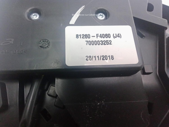 81260F4060 PLAFON DEL TOYOTA C-HR (_X1_)|Desguaces La Cabaña